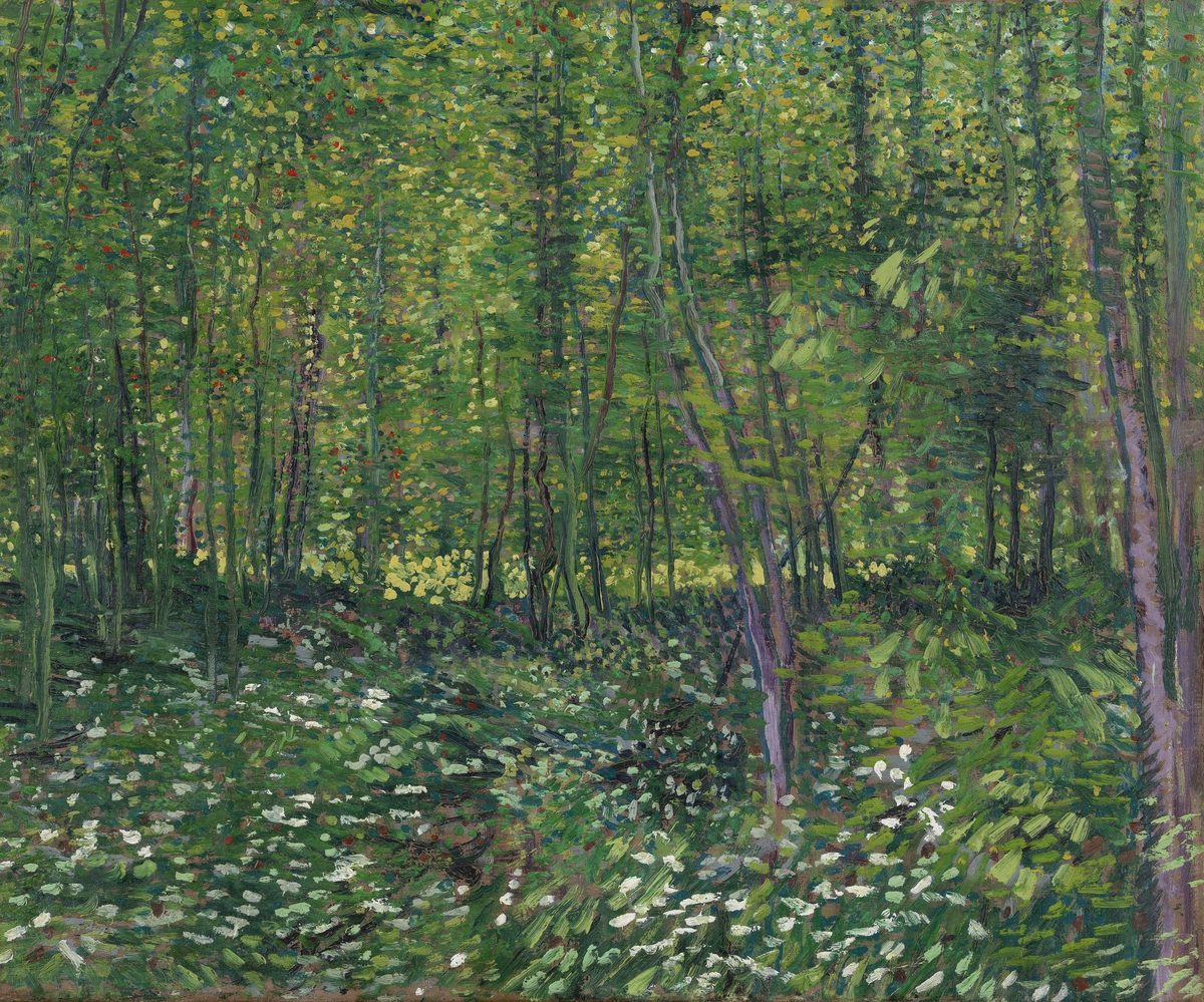 Vincent van Gogh — Bomen en onderhout (1887)